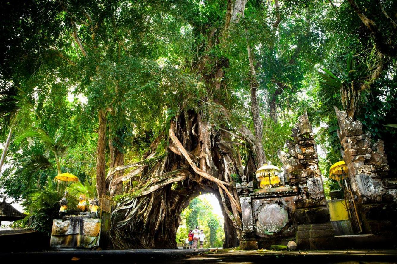 The Asri Villas Jembrana エクステリア 写真